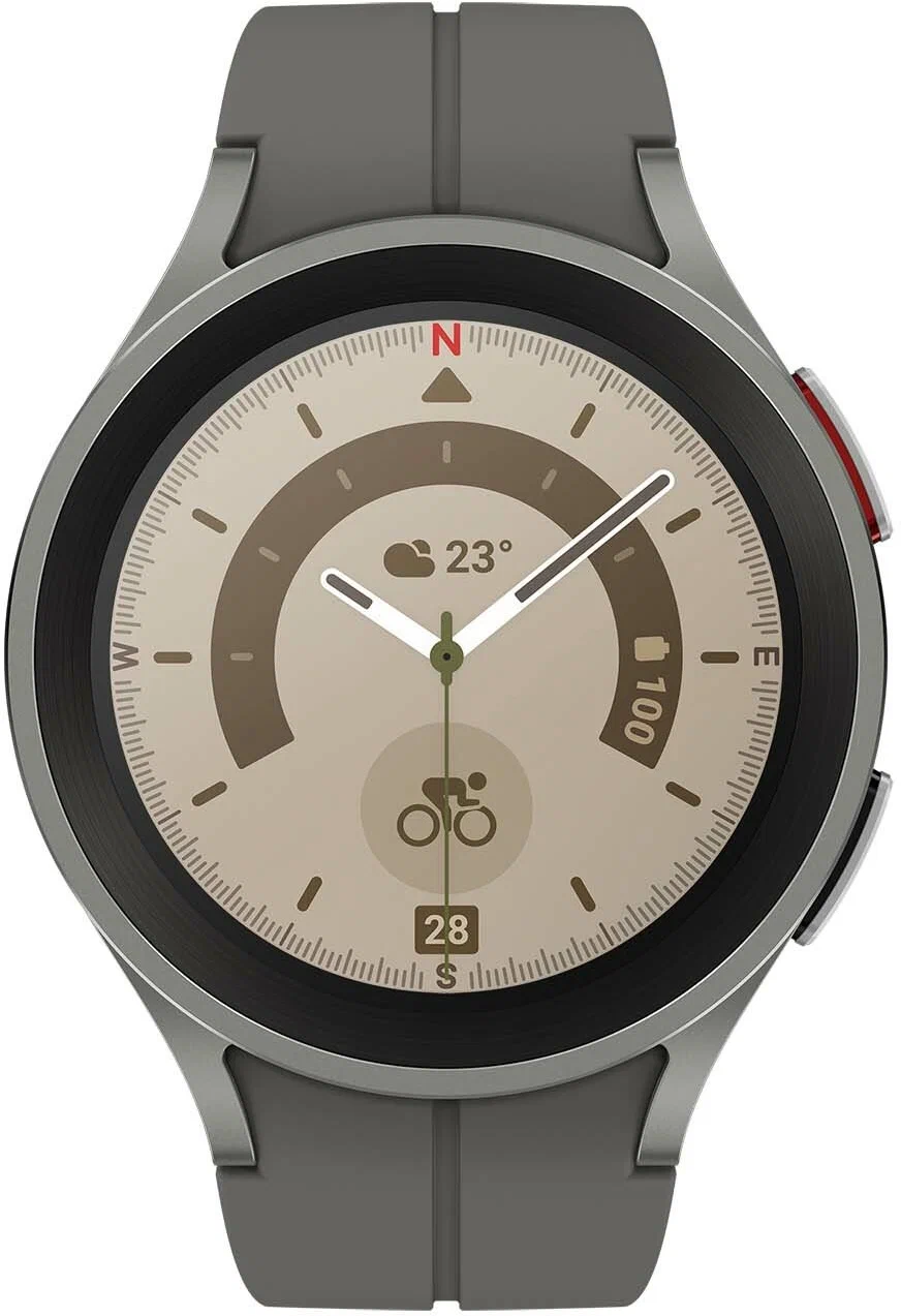 Умные смарт-часы Samsung Galaxy Watch 5 Pro 45mm, Gray
